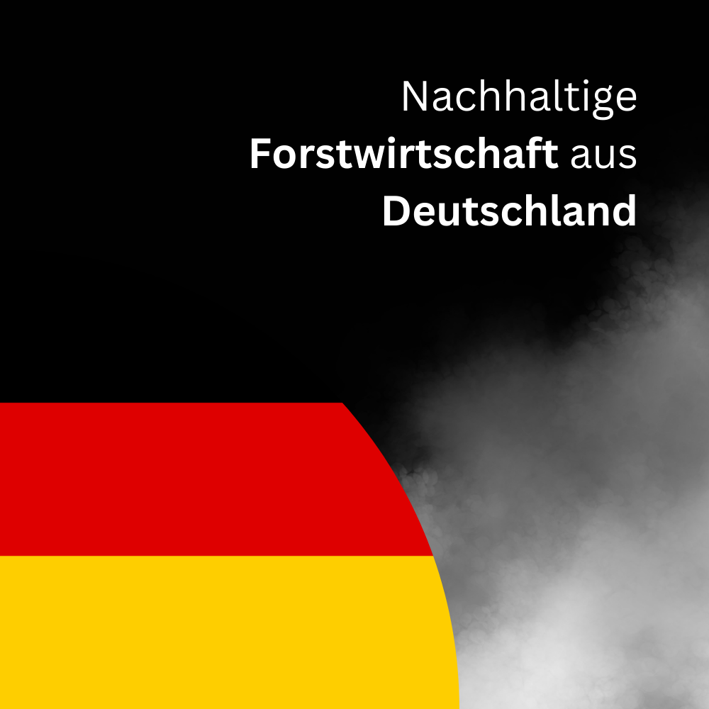 Räuchermehl Buche - 5 Liter im praktischen Eimer!